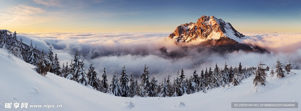 高山 山峰 雪山 森林  树林