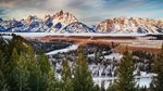 高山 山峰 雪山 森林  树林