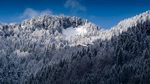 高山 山峰 雪山 森林  树林