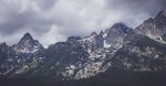 高山 山峰 雪山 森林  树林