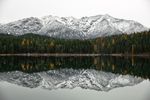高山 山峰 雪山 森林  树林