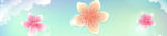 花纹