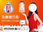 澳利龙 宜养海报  宜养乳酸菌
