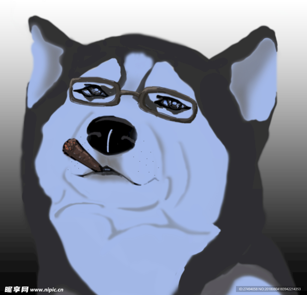 二哈 哈士奇