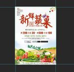 新鲜蔬果 天然 有机 健康