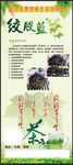 绞股蓝茶