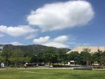 森林公园