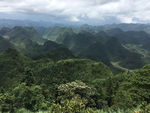 朝太龙帽顶
