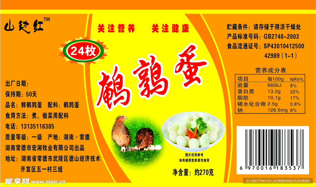鹌鹑