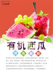 西瓜海报