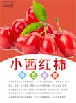 西红柿海报