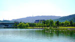 公园风景