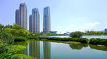 城市风情