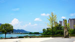 公园风景