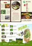 美食折页