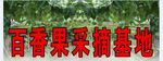百香果采摘基地