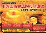 房地产广告
