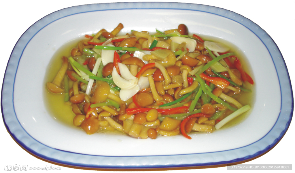 滑菇
