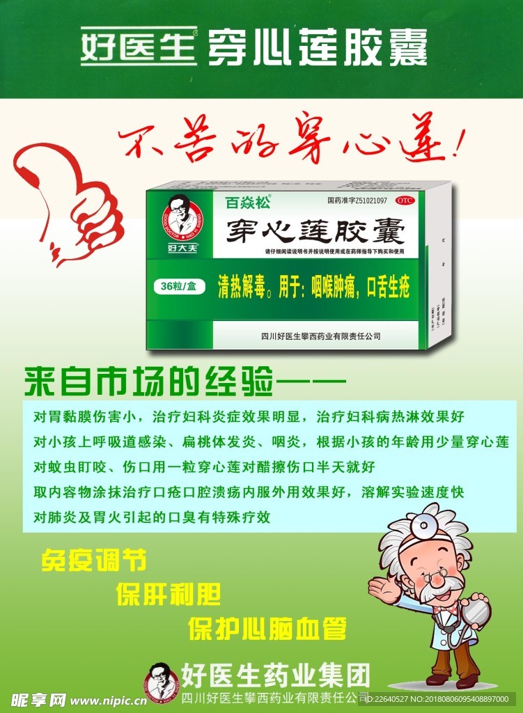 穿心莲
