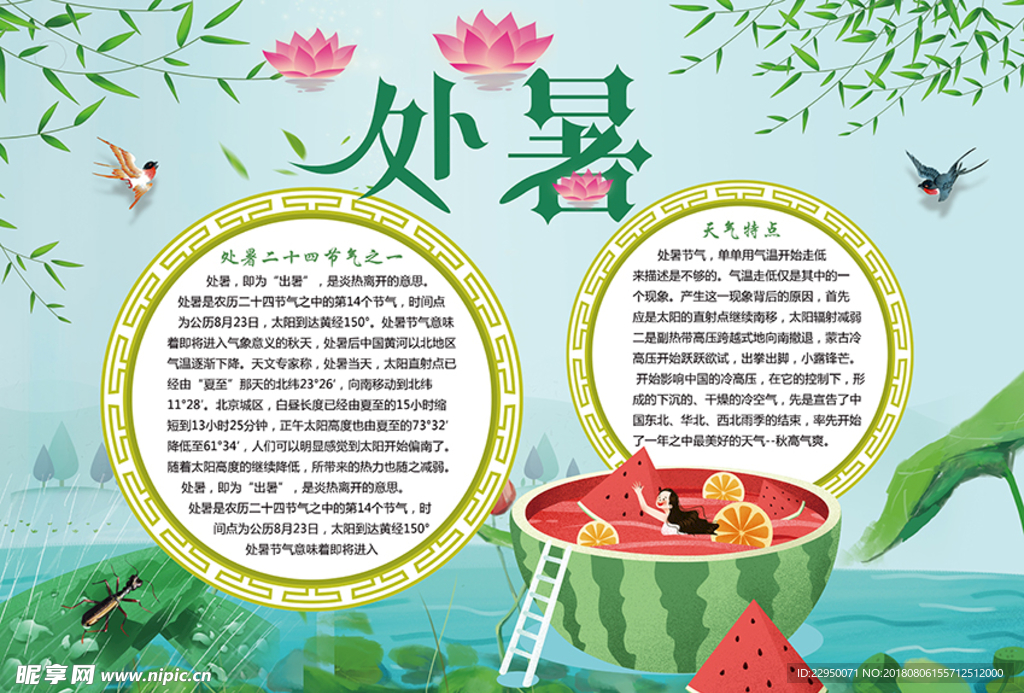 暑假小报