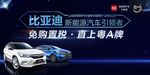 比亚迪新能源汽车