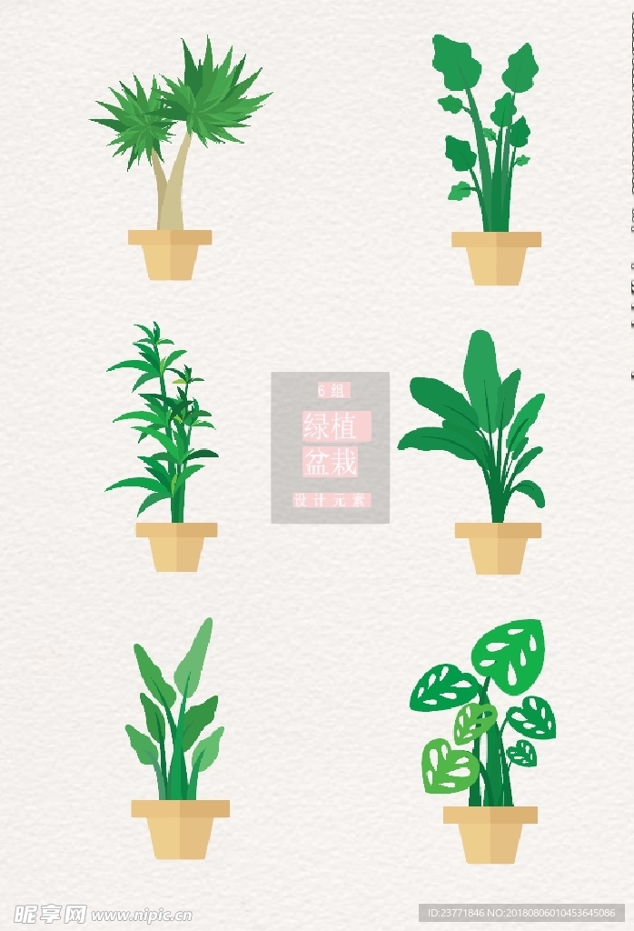 绿植盆栽