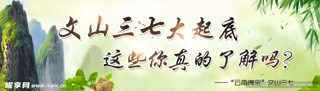 三七网站banner