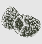 素描食物图片