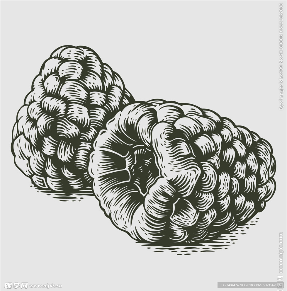 素描食物图片