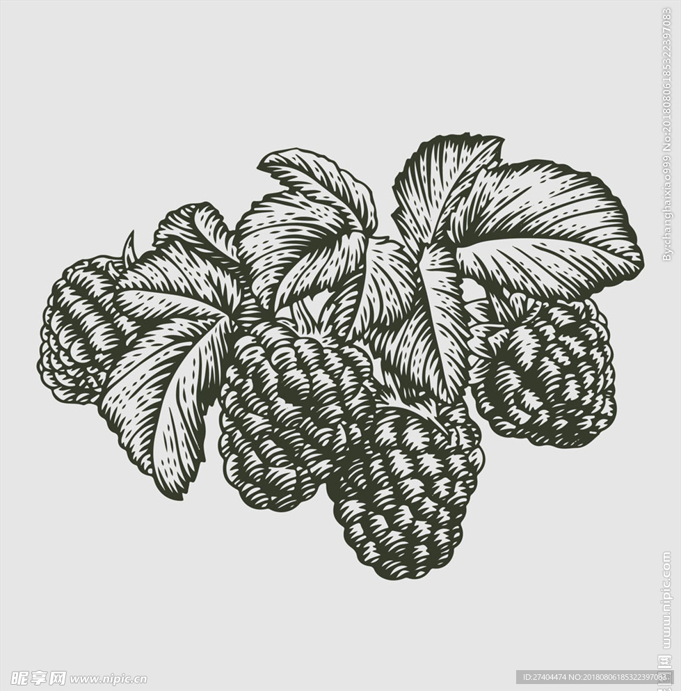 素描食物图片