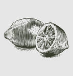 素描食物图片