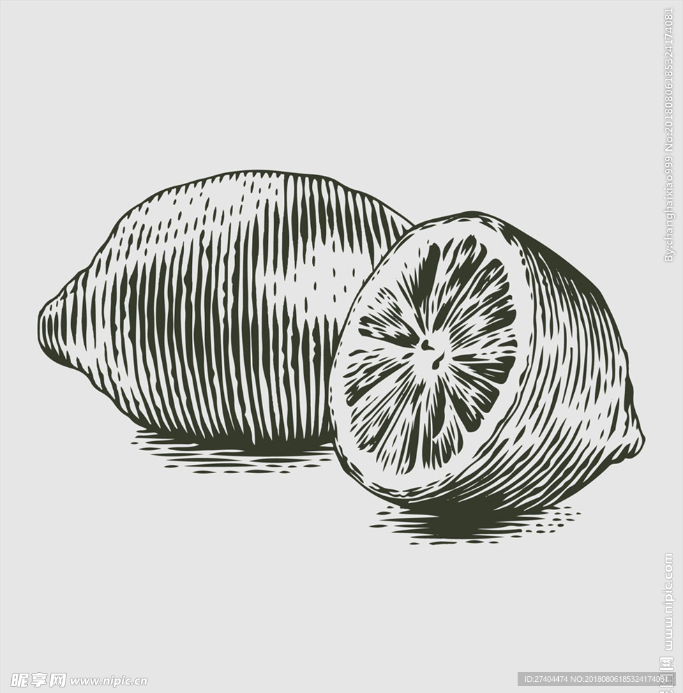 素描食物图片