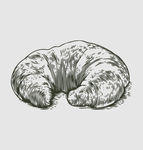 素描食物图片