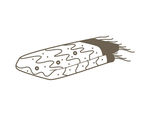 秋季针织品