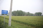麦地