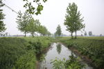 田间小河