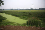 田间小河