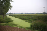田间小河