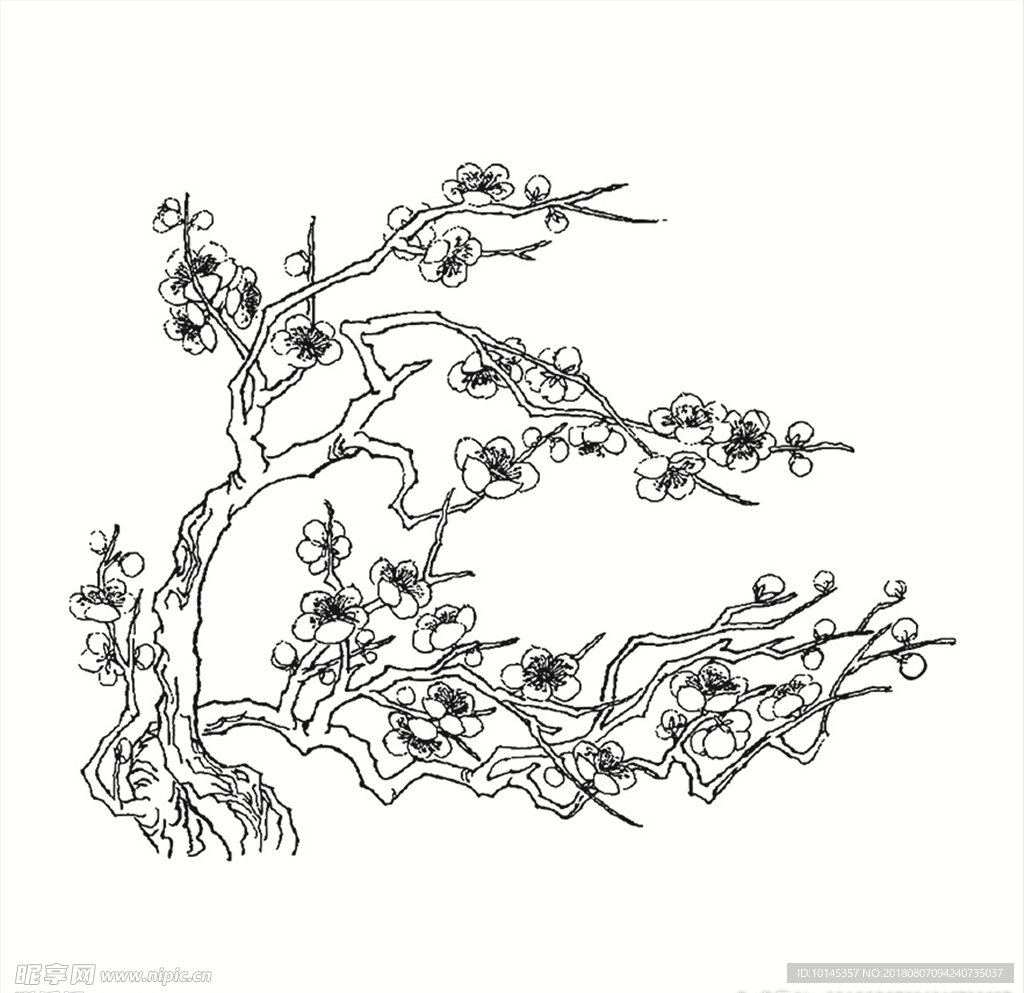 梅花