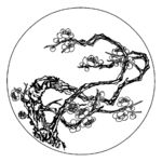 梅花