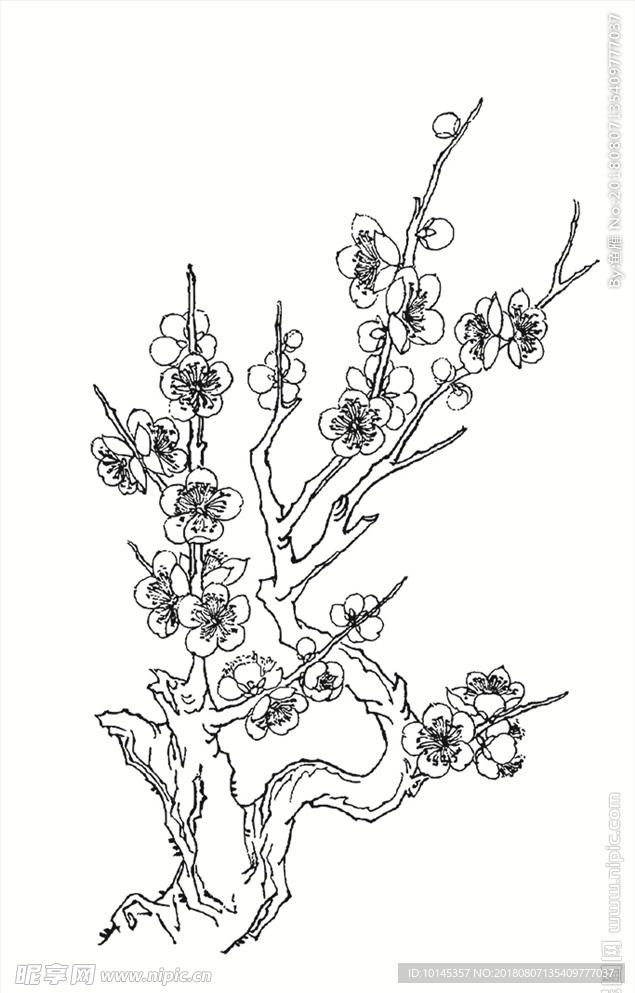梅花