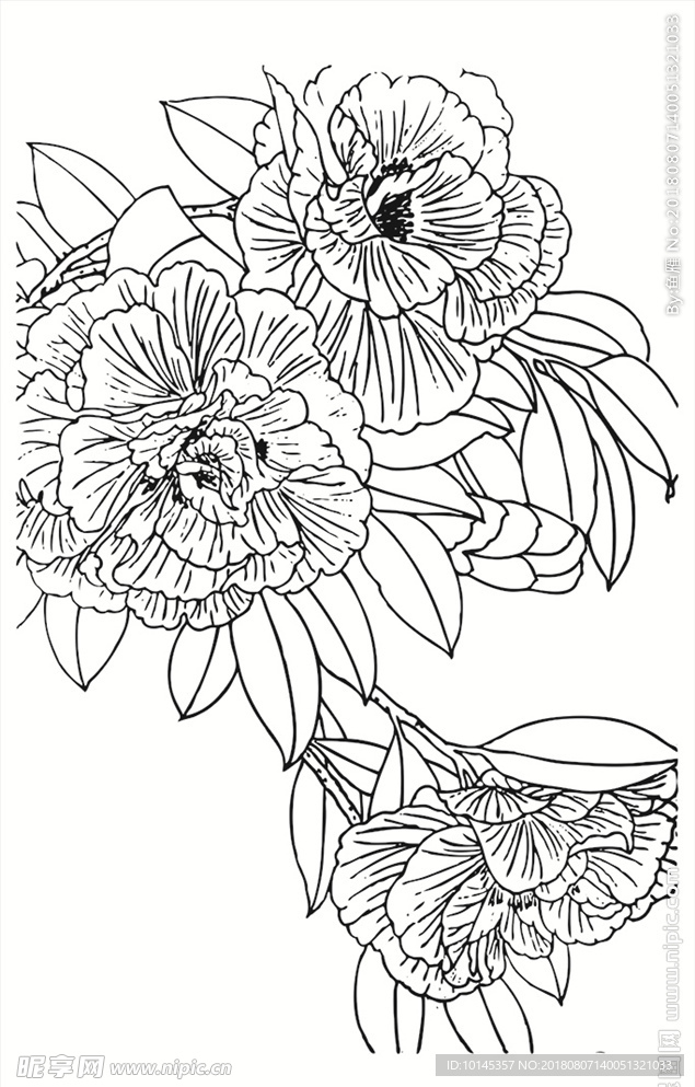 花卉