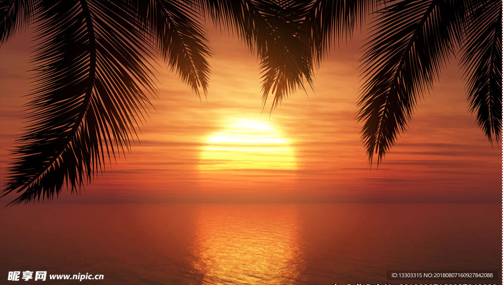 棕榈树夕阳背景