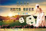 陶瓷 瓷砖 美女 太阳 花草