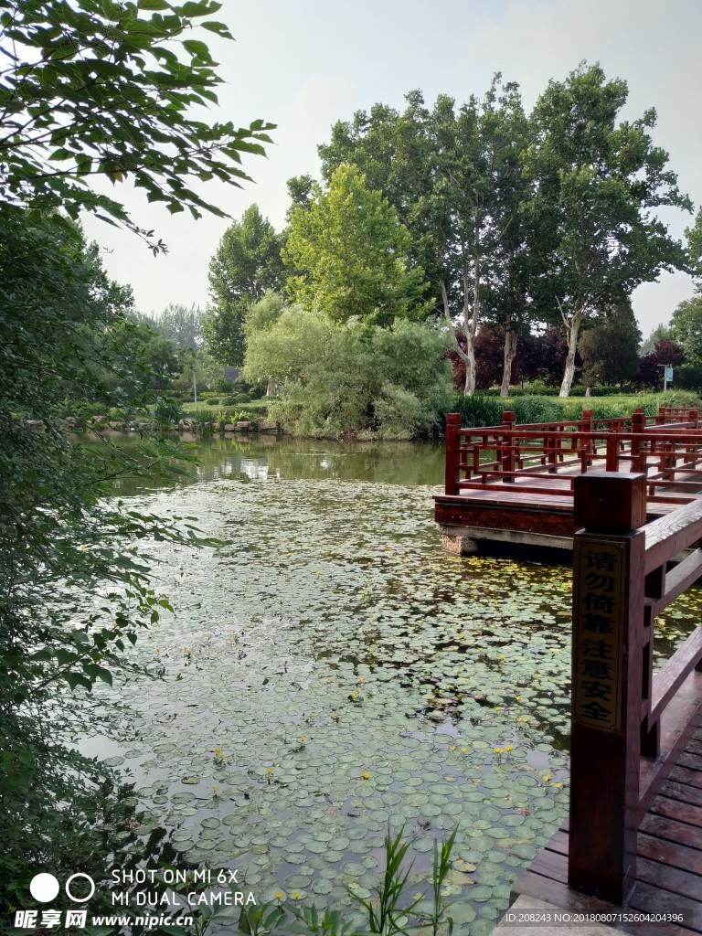 云龙公园 湖心