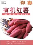 红薯海报