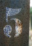 数字概念