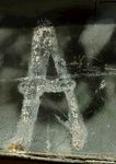 数字概念