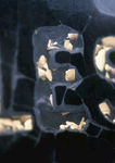 数字概念