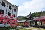 桃花冲风景 自然古建风景